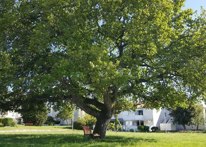 Lejlighed Matilda Poreč