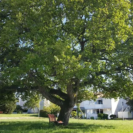 Apartamento Matilda Poreč