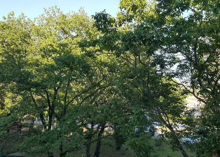 Апартаменты Matilda *